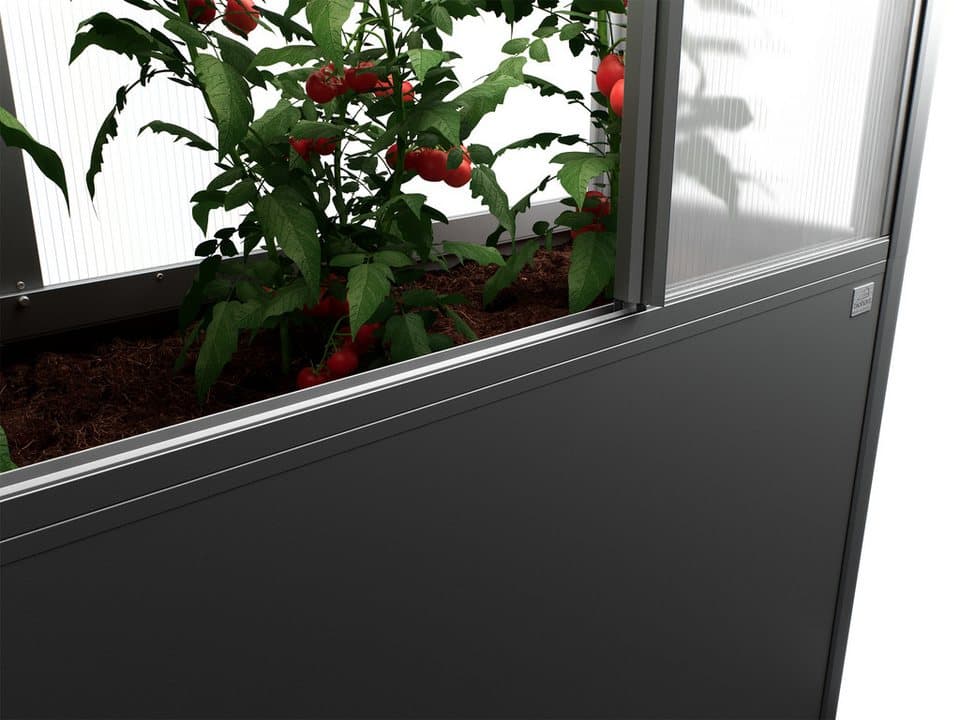 Biohort Gewächshaus Florentina Gr. 2x0,5 MAXI, verschiedene Farben, Kompaktes Gewächshaus für hochwachsende Pflanzen - Thumbnail 3