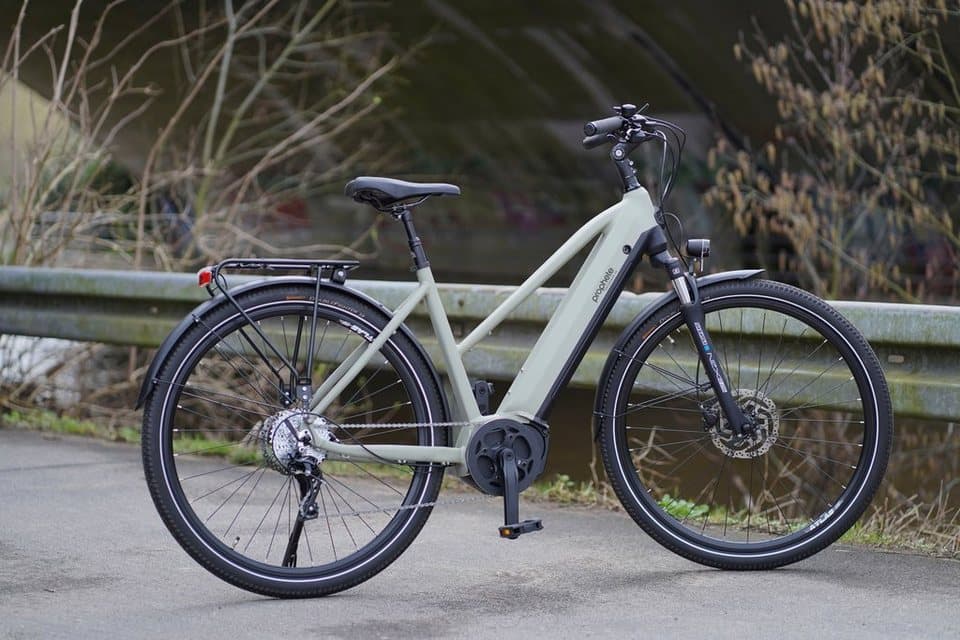 Prophete E-Bike Trekkingrad Entdecker 4.0, 10 Gang microSHIFT XLE Schaltwerk, Kettenschaltung, Mittelmotor, 540 Wh, Pedelec, Elektrofahrrad für Damen - Thumbnail 10