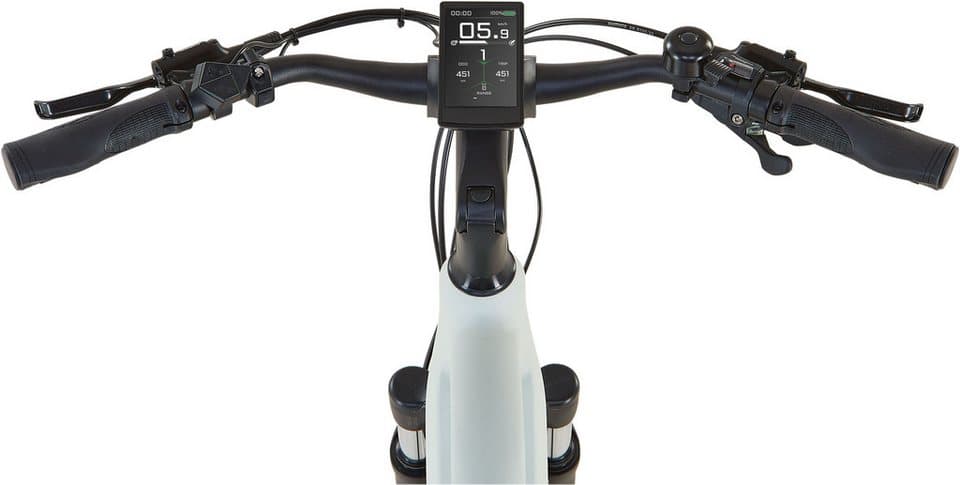 Prophete E-Bike Trekkingrad Entdecker 5.0, 10 Gang Shimano Deore Schaltwerk, Kettenschaltung, Mittelmotor, 800 Wh, Pedelec, Elektrofahrrad für Damen - Thumbnail 3