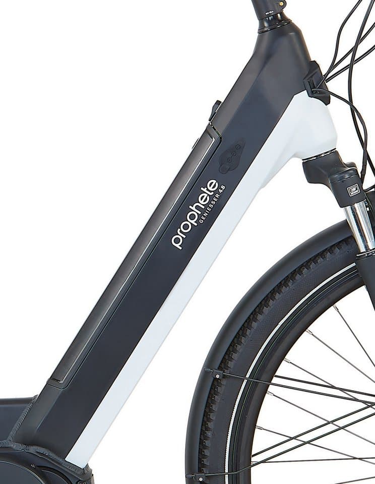 Prophete E-Bike Cityrad Geniesser 4.8, 7 Gang Shimano Nexus Schaltwerk, Nabenschaltung, Mittelmotor, 540 Wh, Pedelec, 10 Jahre Garantie auf den Rahmen - Thumbnail 9