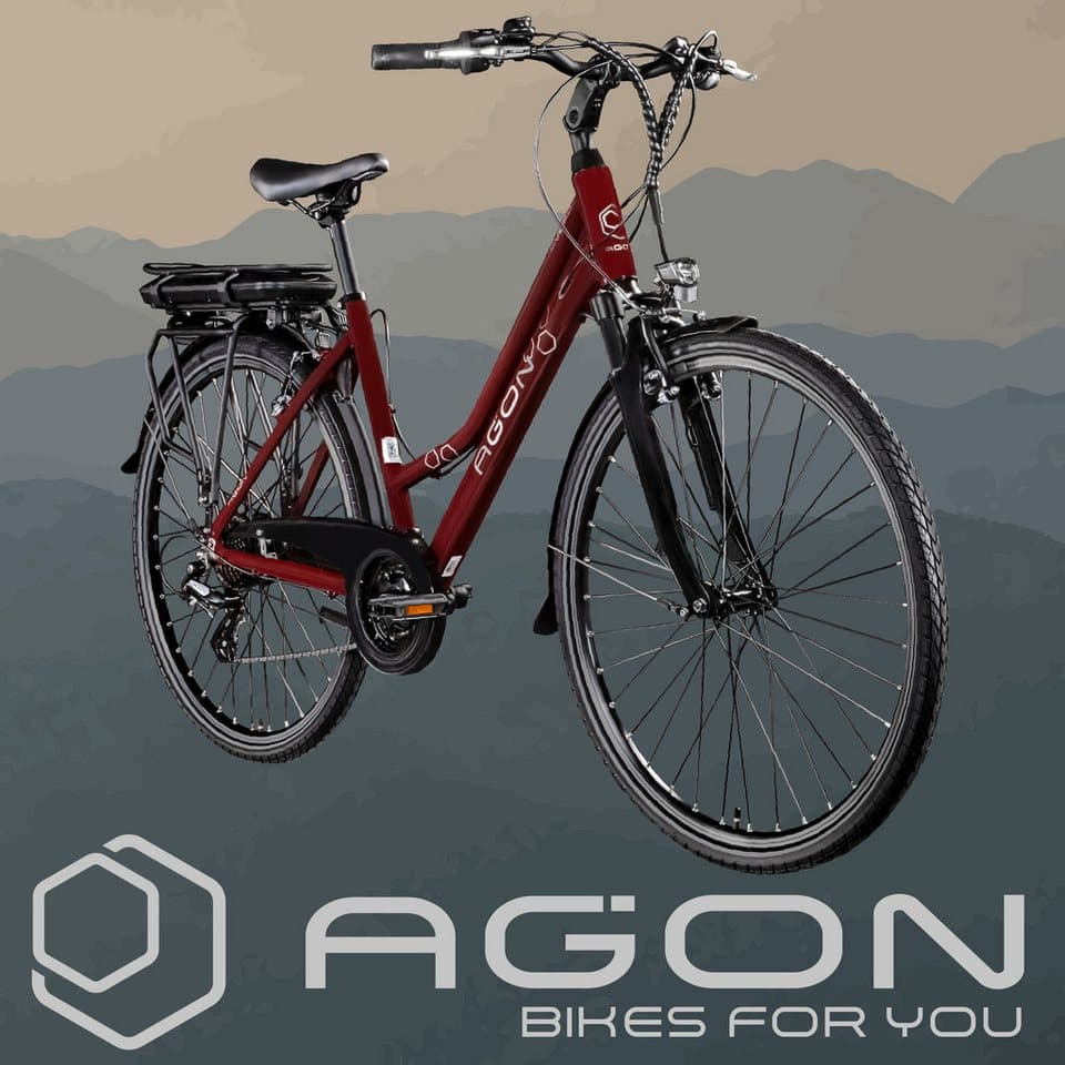 AGON E-Bike Trekkingrad Avesa, 21 Gang, Kettenschaltung, Heckmotor, 374 Wh, Pedelec, Elektrofahrrad für Damen u. Herren - Thumbnail 7
