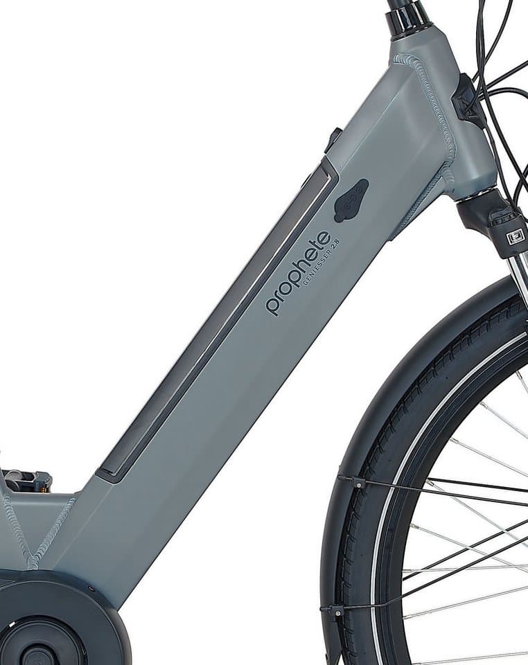 Prophete E-Bike Cityrad Geniesser 2.8, 7 Gang Shimano Nexus Schaltwerk, Nabenschaltung, Frontmotor, 540 Wh, Pedelec, Elektrofahrrad für Damen u. Herren - Thumbnail 6
