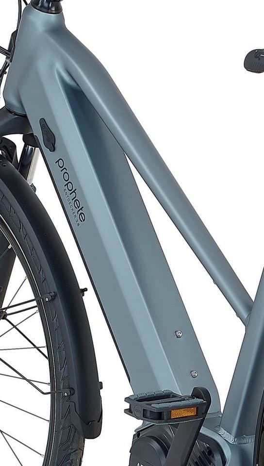 Prophete E-Bike Trekkingrad Entdecker 3.8, 8 Gang Shimano Altus Schaltwerk, Kettenschaltung, Mittelmotor, 540 Wh, Pedelec, Elektrofahrrad für Damen - Thumbnail 16