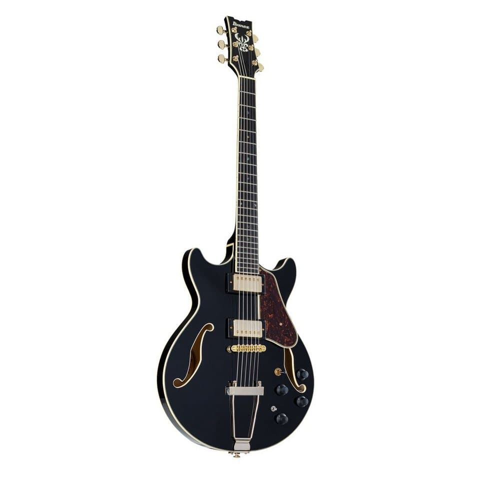 Ibanez Halbakustik-Gitarre, Halb-Akustik Gitarren, Andere Formen, Artcore Expressionist AMH90-BK Black - Halbakustik Gitarre