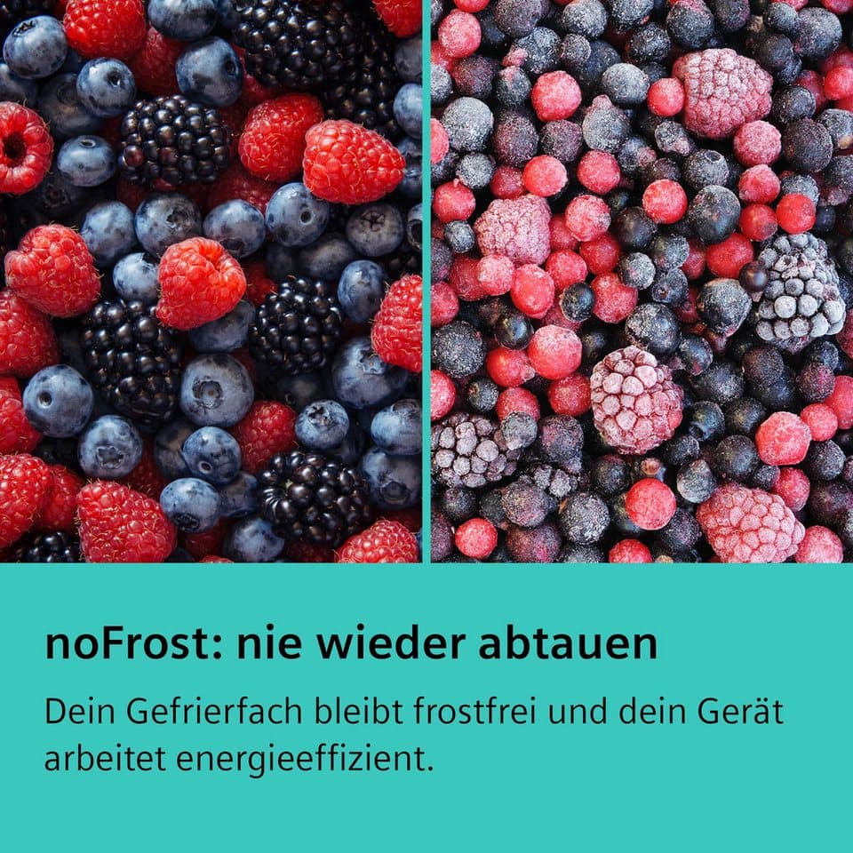 SIEMENS Kühl-/Gefrierkombination iQ300 KG39N2LAF, 203 cm hoch, 60 cm breit, noFrost, hyperFresh 0°C Schublade, nahtlose Platzierung, LED-Licht - Thumbnail 3