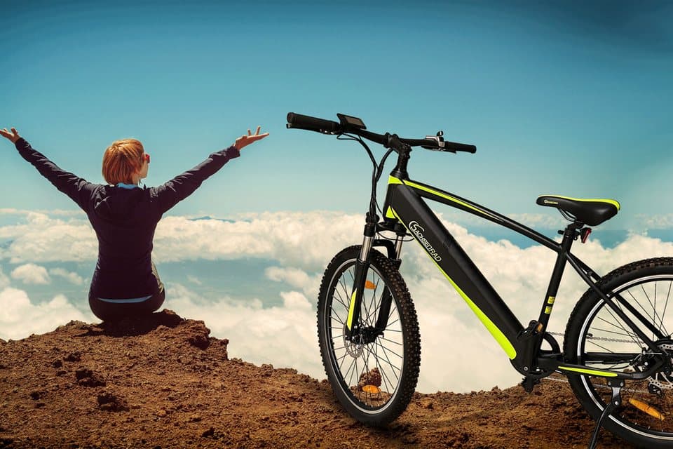 SachsenRAD E-Bike Mountainbike R8 Flex III, 9 Gang Shimano Shimano Altus Schaltwerk, Kettenschaltung, Heckmotor, 520 Wh, (mitgeliefertes, optionales Schutzblech mit integriertem Rücklicht), LCD-Steuerdisplay, Fahrmodus Pedelec, LED- Beleuchtung - Thumbnail 6