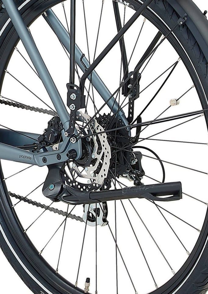 Prophete E-Bike Trekkingrad Entdecker 3.8, 8 Gang Shimano Altus Schaltwerk, Kettenschaltung, Mittelmotor, 540 Wh, Pedelec, Elektrofahrrad für Damen - Thumbnail 19