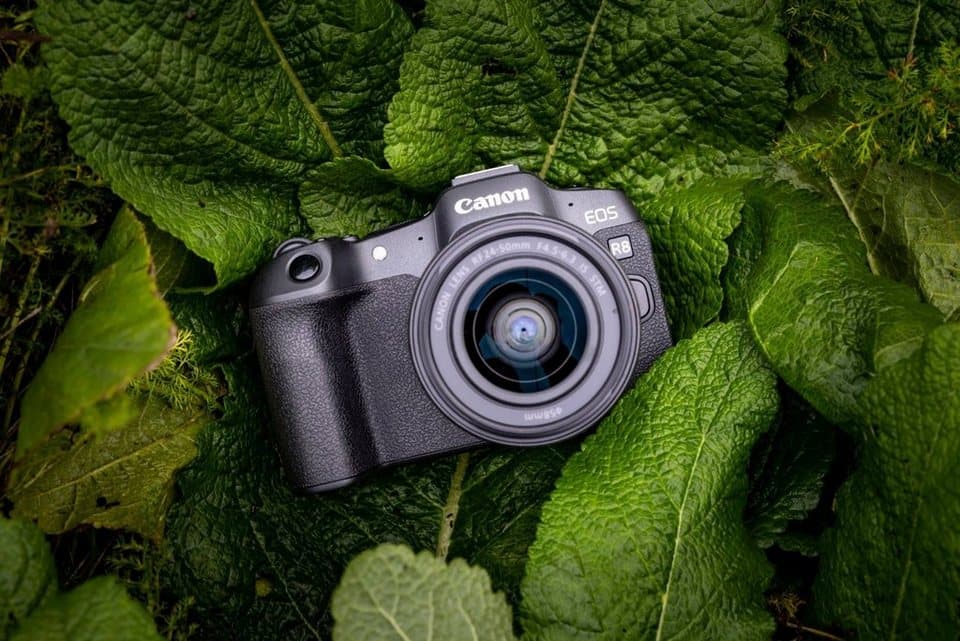 Canon EOS R8 + RF 24-50mm F4.5-6.3 IS STM Kit Systemkamera (RF 24-50mm F4.5-6.3 IS STM, 24,2 MP, Bluetooth, WLAN, verfügbar ab 17.04.23) - Thumbnail 21