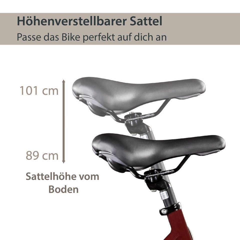 AGON E-Bike Trekkingrad Avesa, 21 Gang, Kettenschaltung, Heckmotor, 374 Wh, Pedelec, Elektrofahrrad für Damen u. Herren - Thumbnail 2