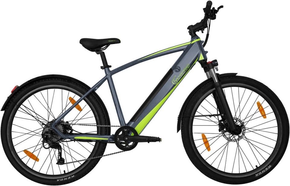SachsenRAD E-Bike Mountainbike R8 Flex III, 9 Gang Shimano Shimano Altus Schaltwerk, Kettenschaltung, Heckmotor, 520 Wh, (mitgeliefertes, optionales Schutzblech mit integriertem Rücklicht), LCD-Steuerdisplay, Fahrmodus Pedelec, LED- Beleuchtung - Bild 1
