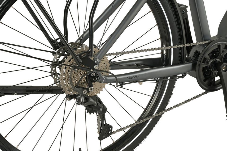 Prophete E-Bike Trekkingrad Entdecker 5.8, 10 Gang Shimano Deore Schaltwerk, Kettenschaltung, Mittelmotor, 800 Wh - Thumbnail 6