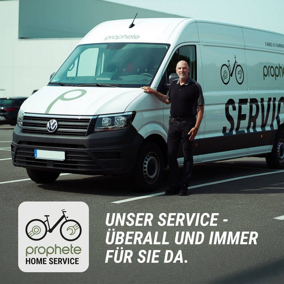 Prophete E-Bike Cityrad Geniesser 4.8, 7 Gang Shimano Nexus Schaltwerk, Nabenschaltung, Mittelmotor, 540 Wh, Pedelec, 10 Jahre Garantie auf den Rahmen - Thumbnail 14