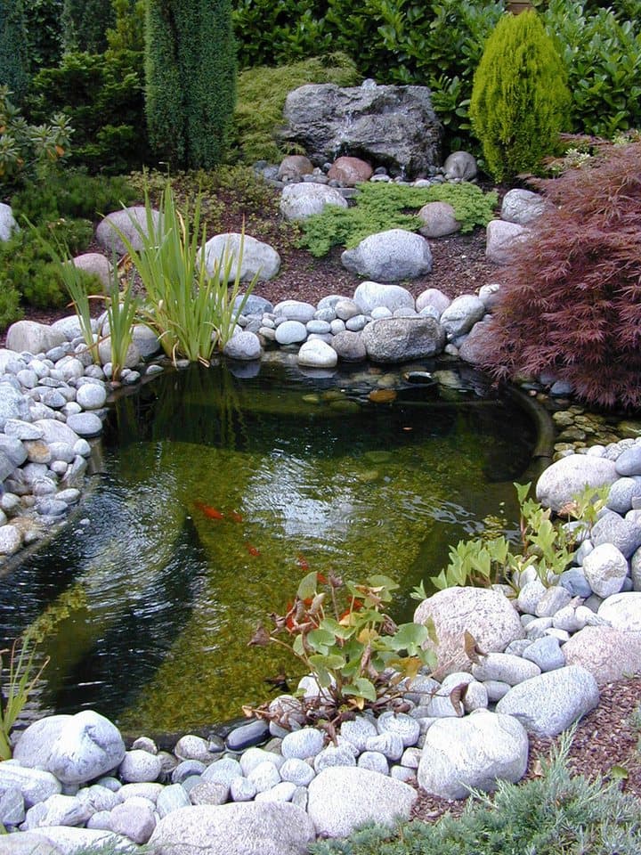 Ubbink Fertigteich Iris SV, BxLxH: 185x320x65 cm, 1580 l, natürlich geschwungen, 15 Jahre Garantie - Thumbnail 2