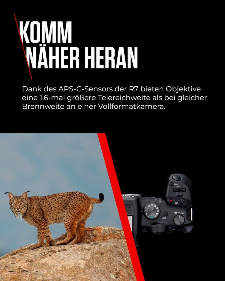Canon EOS R7 + RF-S 18-150mm F3.5-6.3 IS STM Systemkamera (RF-S 18-150mm F3,5-6,3 IS STM, 34,4 MP, Bluetooth, WLAN) - Thumbnail 12