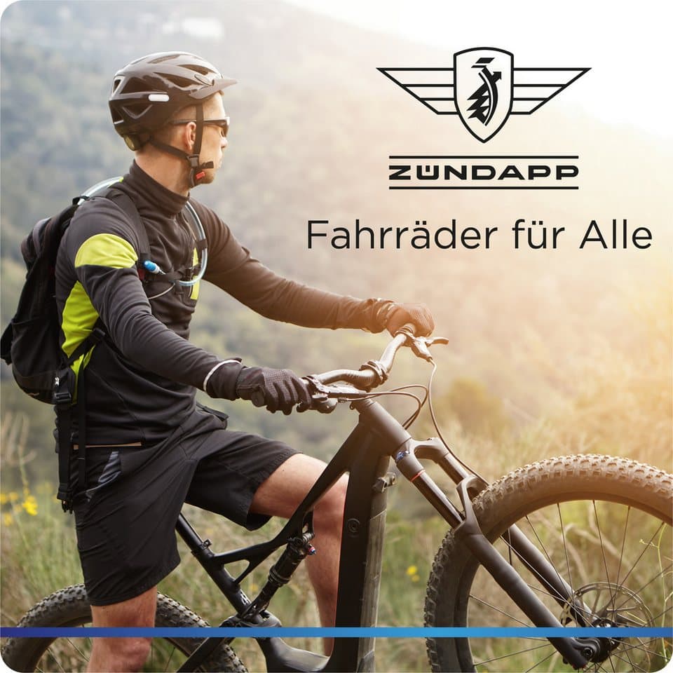 Zündapp E-Bike Mountainbike Z890, 10 Gang Shimano Cues Schaltwerk, Kettenschaltung, Heckmotor, 550 Wh - Thumbnail 9