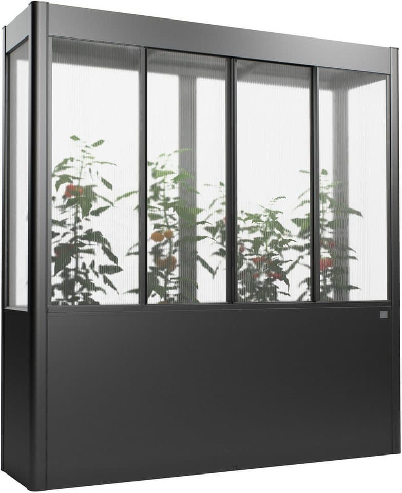 Biohort Gewächshaus Florentina Gr. 2x0,5 MAXI, verschiedene Farben, Kompaktes Gewächshaus für hochwachsende Pflanzen - Bild 1