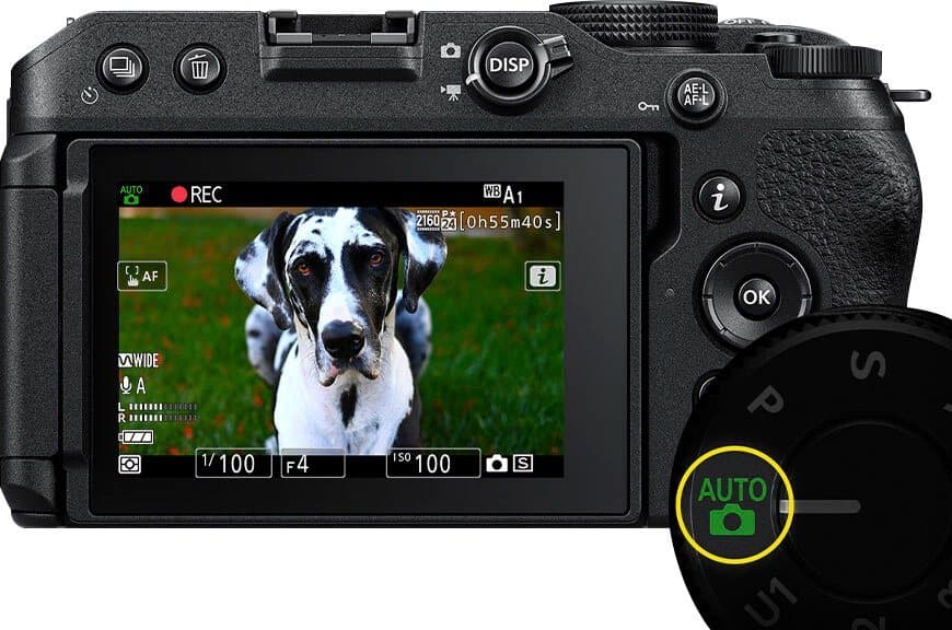 Nikon Kit Z 30 + 16–50 + 50–250 VR Systemkamera (NIKKOR Z DX 16–50 mm 1:3,5–6,3 VR, NIKKOR Z DX 50–250 mm 1:4,5–6,3 VR, 20,9 MP, WLAN (Wi-Fi), Bluetooth) - Thumbnail 18