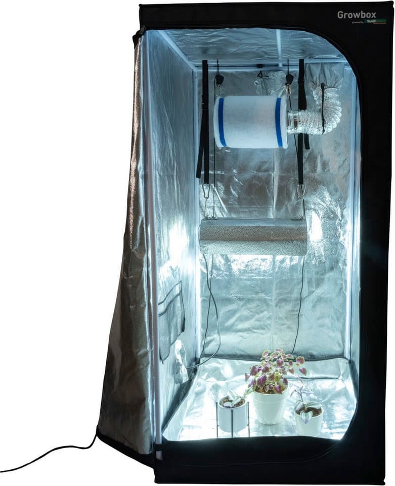 Windhager Gewächshaus Indoor, Growbox komplettes Starterset, Zuchtzelt für Pflanzen, Anbaufläche 0,64 m², 80 x 80 x 160 cm, schwarz - Bild 1